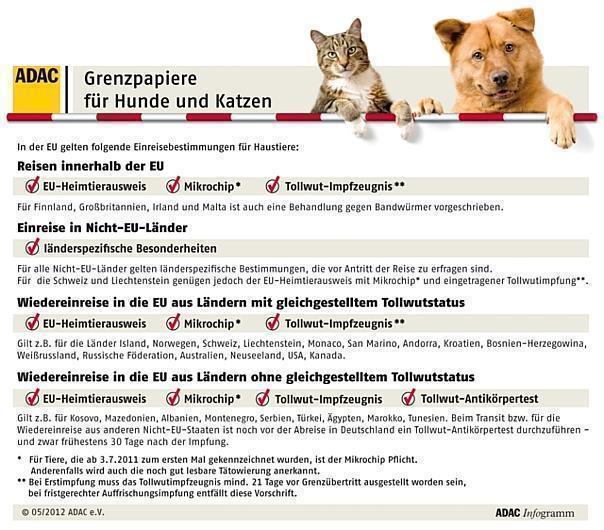 Ausweispflicht für Hund und Katz im Ausland - ADAC: Rechtzeitig an Impfungen denken